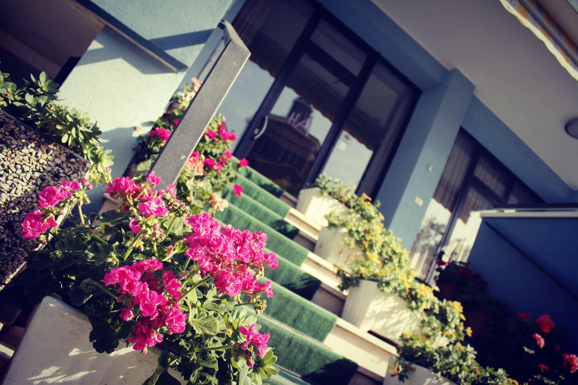 Vista Exterior HOTEL AMOHA