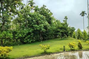 Alojamiento - Malnad Shire