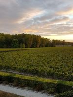 Alojamiento - Château Marojallia