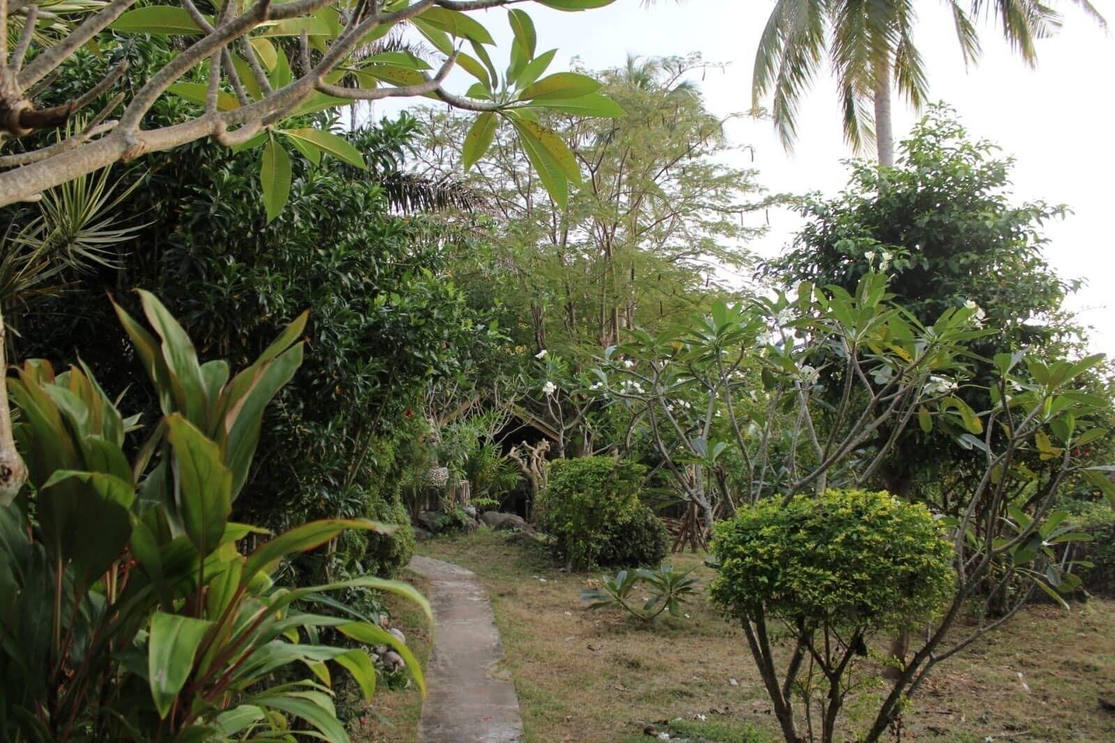 Comodidades del Alojamiento Sairee View Resort
