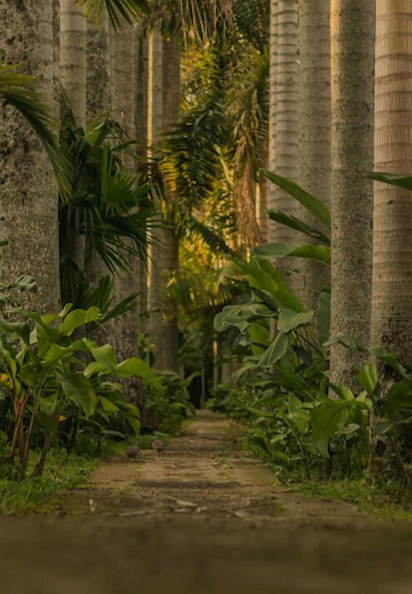 Vista Exterior Hotel Rancho Eden