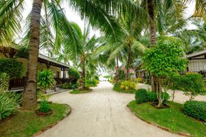 Alojamiento - Anika Island Resort