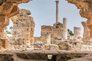 Actividad - Excursión a Cartago y Sidi Bou Said