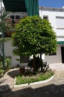 Alquiler Vacacional - LUXURIOUS AND QUIET APARTMENT IN THE CENTER