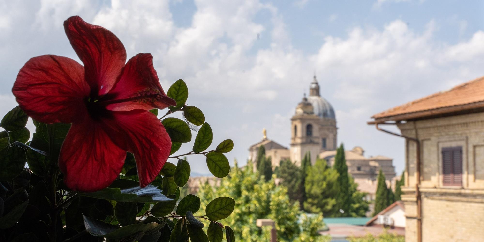 Varios Hotel Mom Assisi