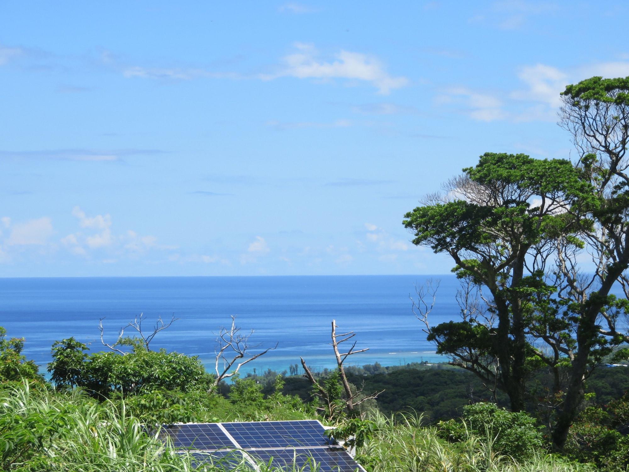 Varios Okinawa Freedom