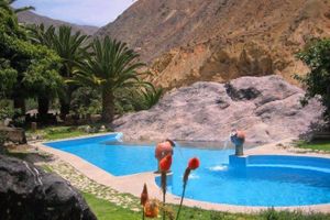 Alojamiento - Paraíso Las Palmeras Lodge