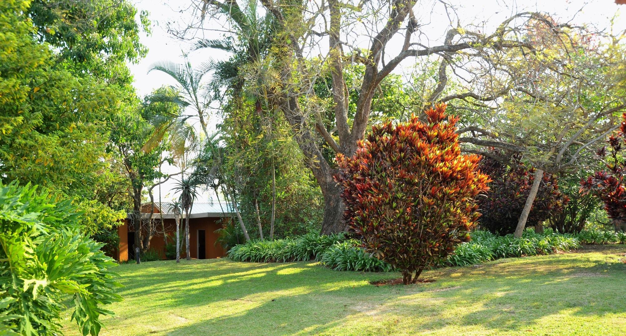 Equipamiento de Habitación Hazyview Sun