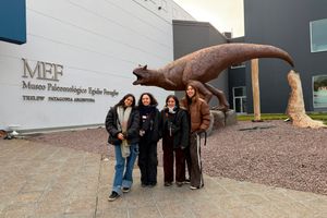 Actividad - Valle Inferior del Rio Chubut
