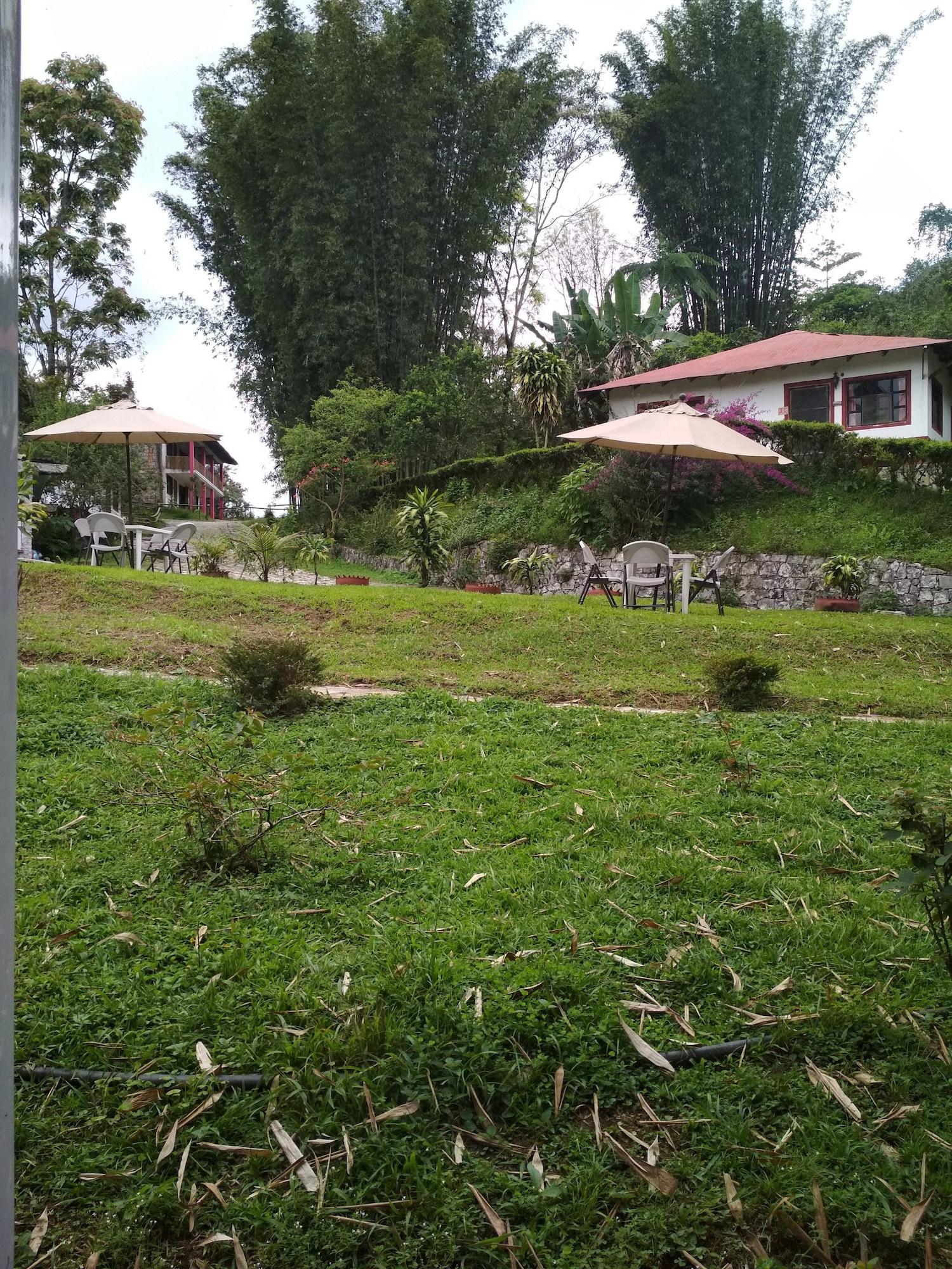 Comodidades del Alojamiento Hotel & Cabañas amara Café