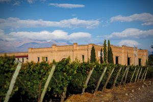 Alojamiento - Andeluna Winery Lodge