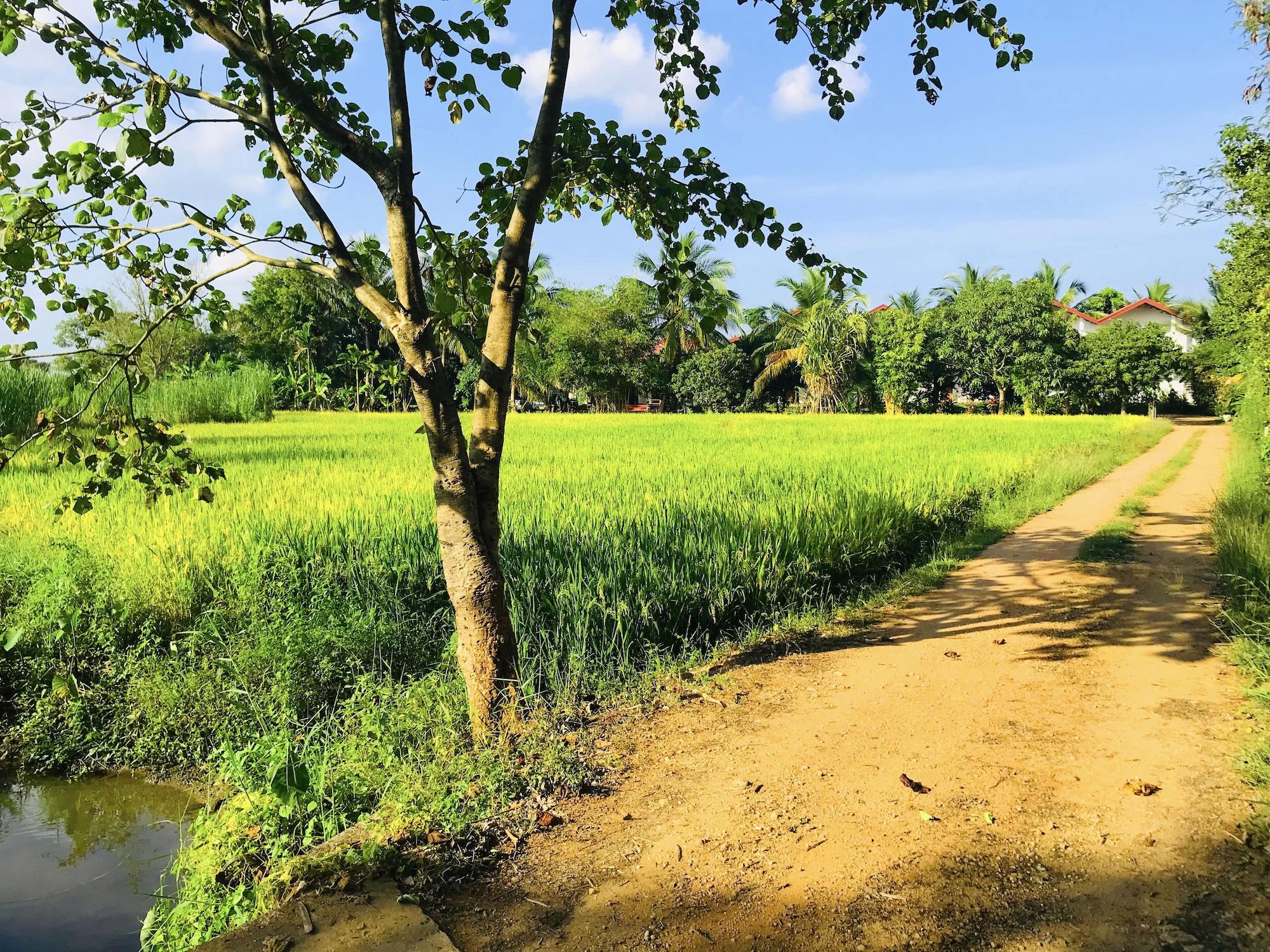 Vista Exterior Rivonway Hotel Polonnaruwa