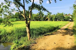 Alojamiento - Rivonway Hotel Polonnaruwa