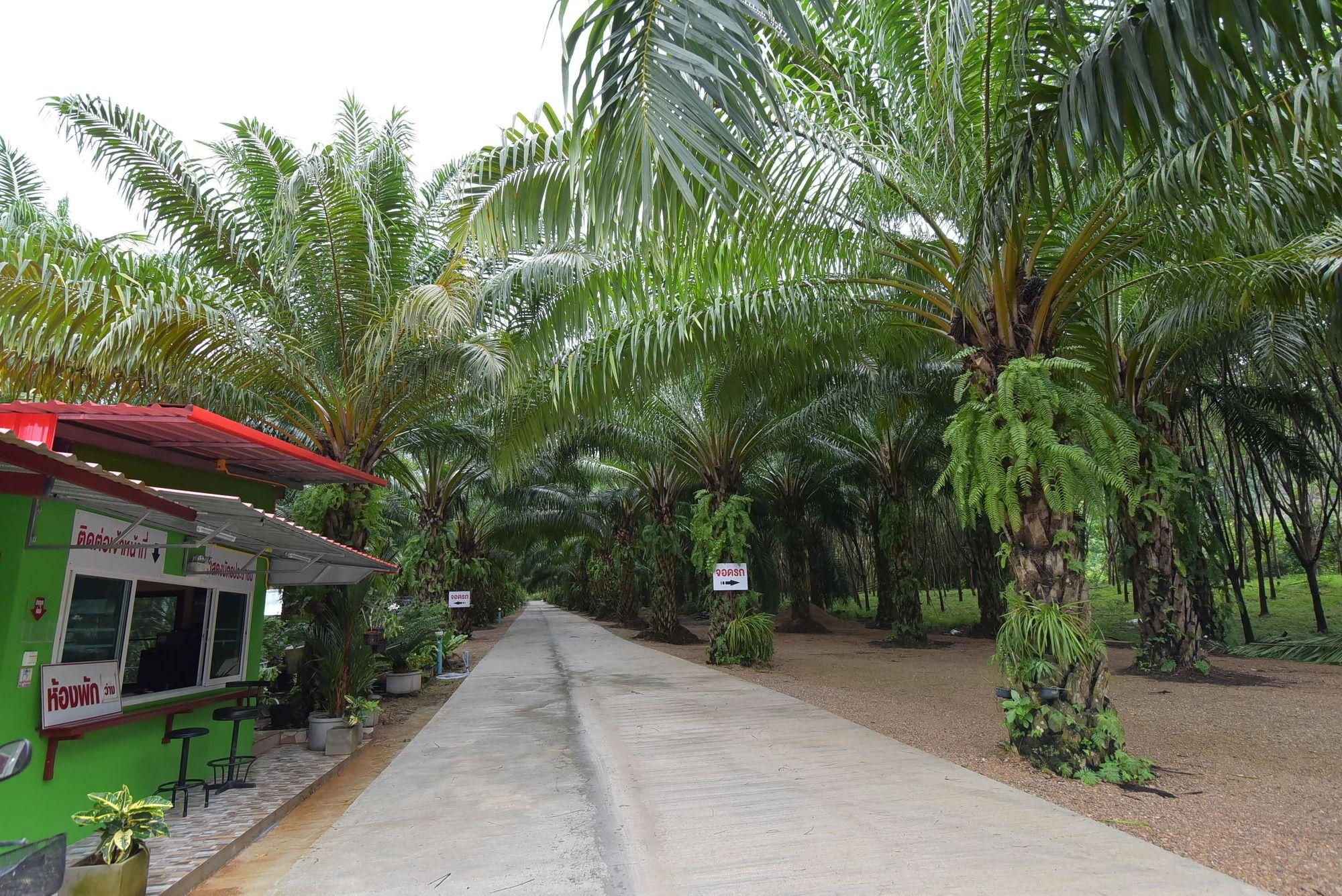 Comodidades del Alojamiento Palm Kaew Resort Krabi