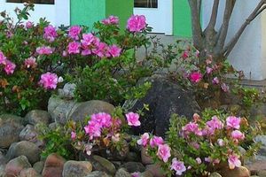 Alojamiento - Hotel Porto de Paz