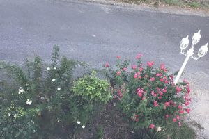 Alojamiento - Antigua Seaview