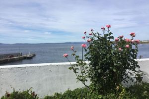 Alojamiento - The Boathouse Lodge