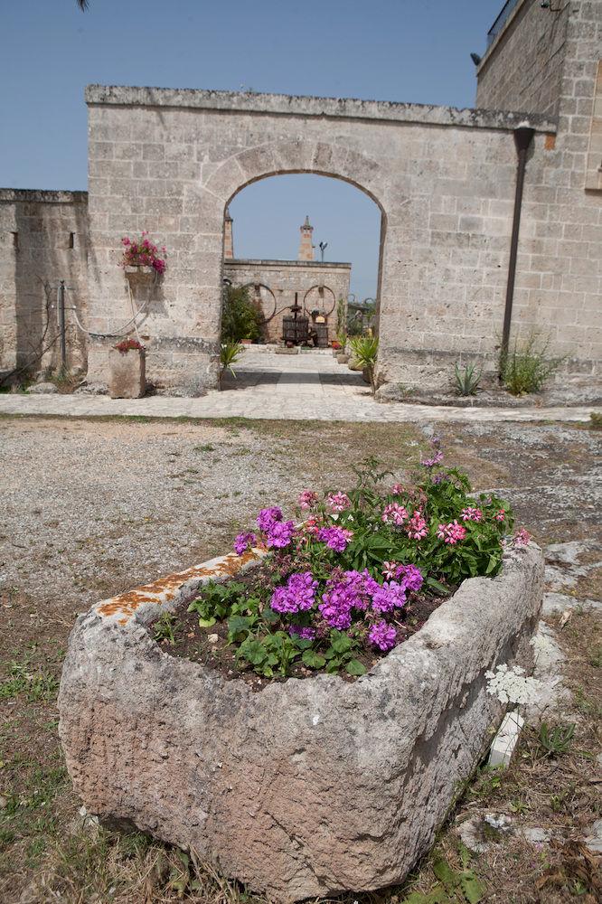 Vista Exterior Masseria Bosco & Masseria Strazzati