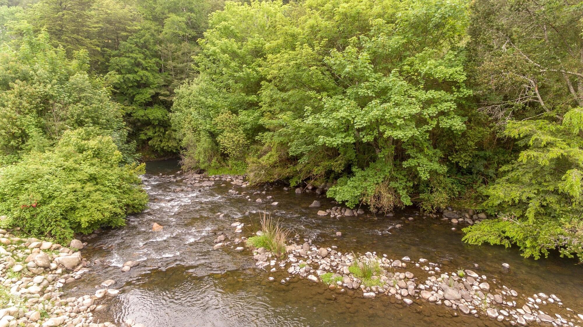 Varios Entre Pampa y Bosque