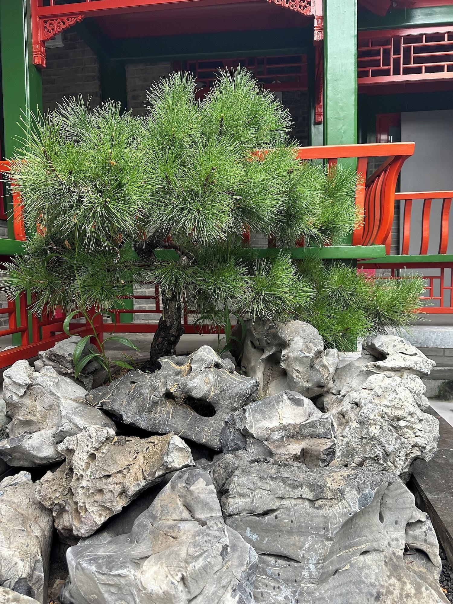 Vista Exterior XinXiangYaYuan Courtyard