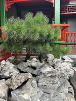 Alojamiento - XinXiangYaYuan Courtyard