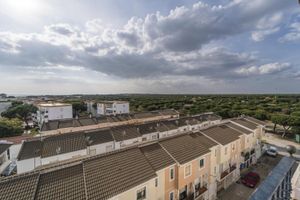 Alojamiento - Hotel Carabela Santa Maria
