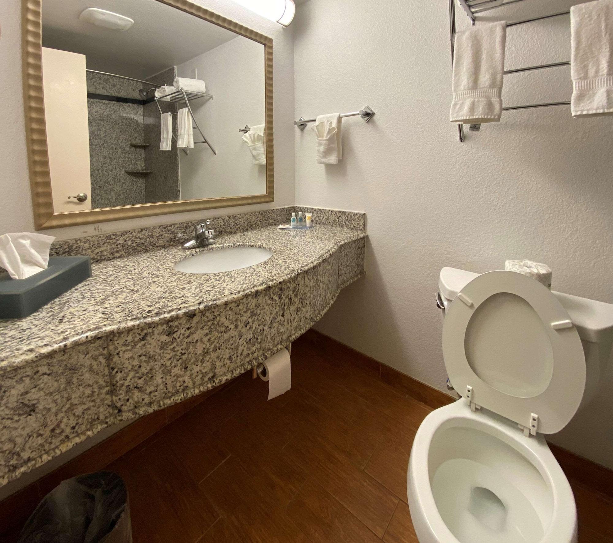 Equipamiento de Habitación MainStay Suites Conover-Hickory