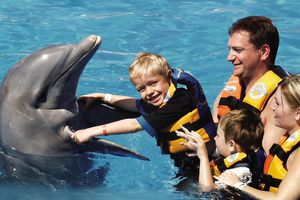 Actividad - Nado con delfines en el Parque Aquaventuras