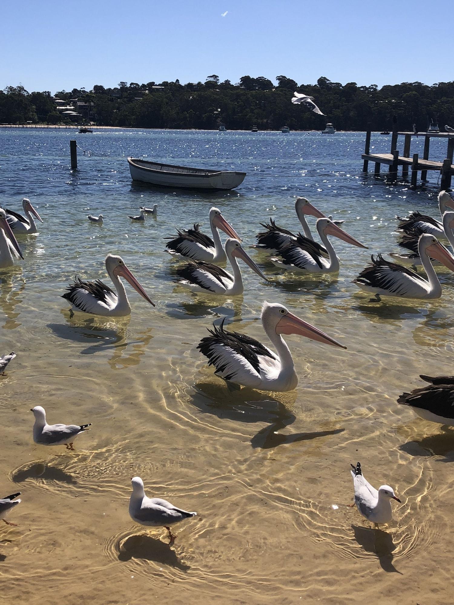 Varios Beaches Apartments Merimbula