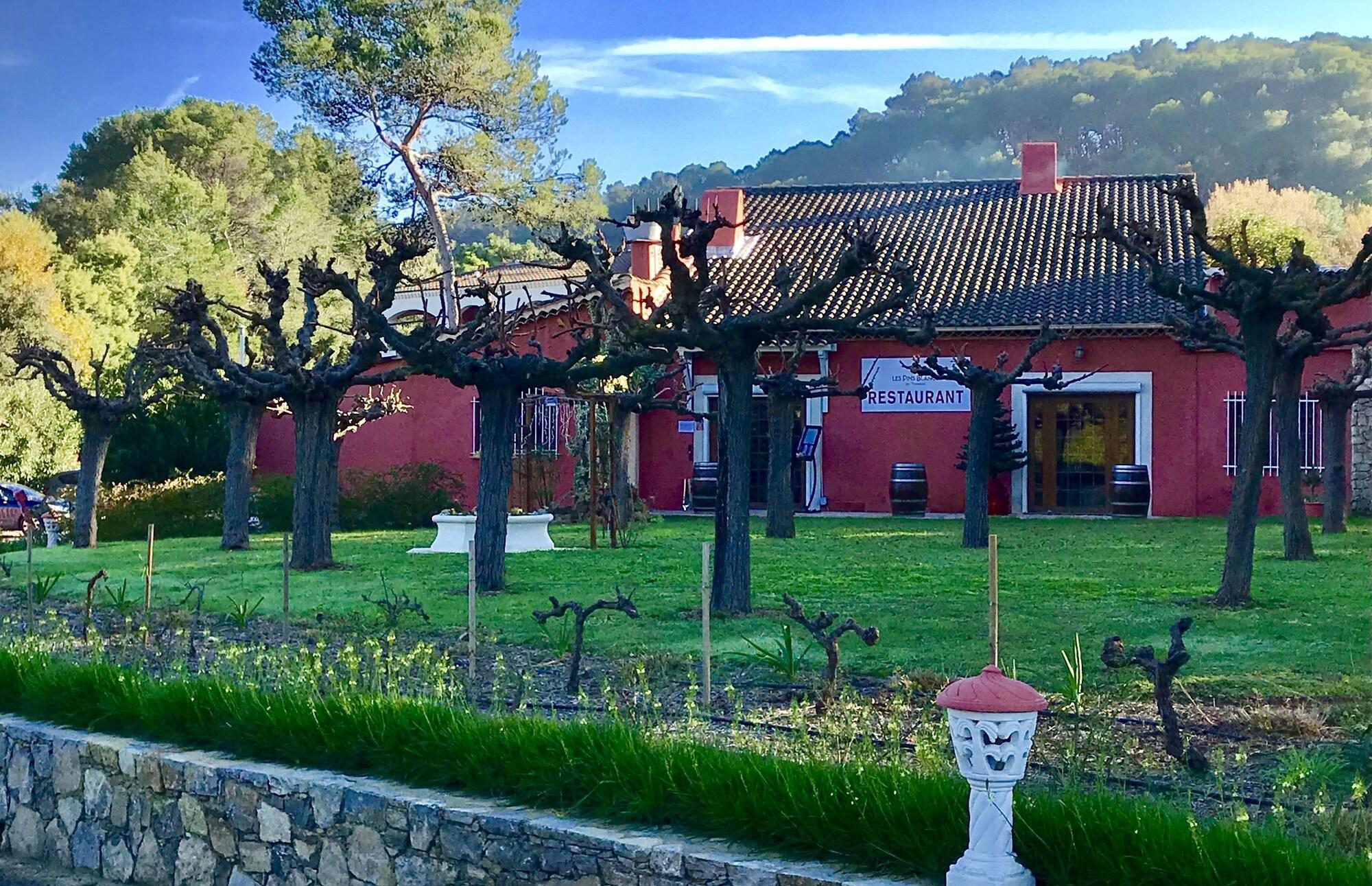 Vista Exterior Les Pins Blancs De Provence