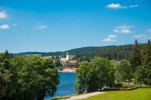 Alojamiento - Abnoba Mons Design Apartment