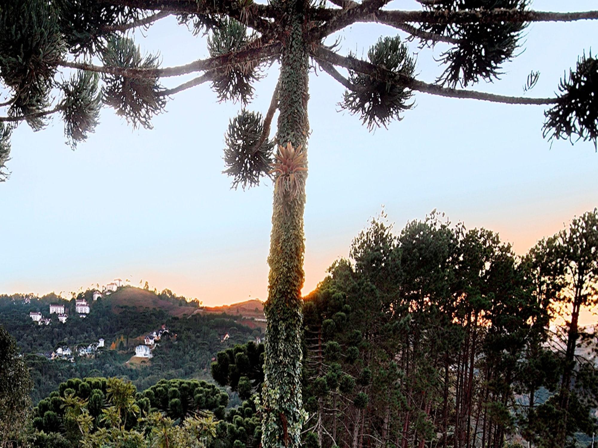 Varios Recanto das Araucarias