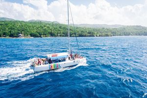 Actividad - Chukka Ultra Pass: Snorkel, Party Catamaran, Dunn's River Climb and Zipline with Green Grotto Cave