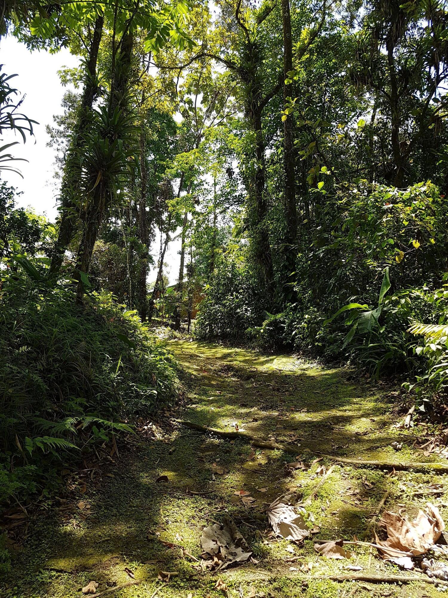 Instalaciones Recreativas Brisas Arenal Hotel