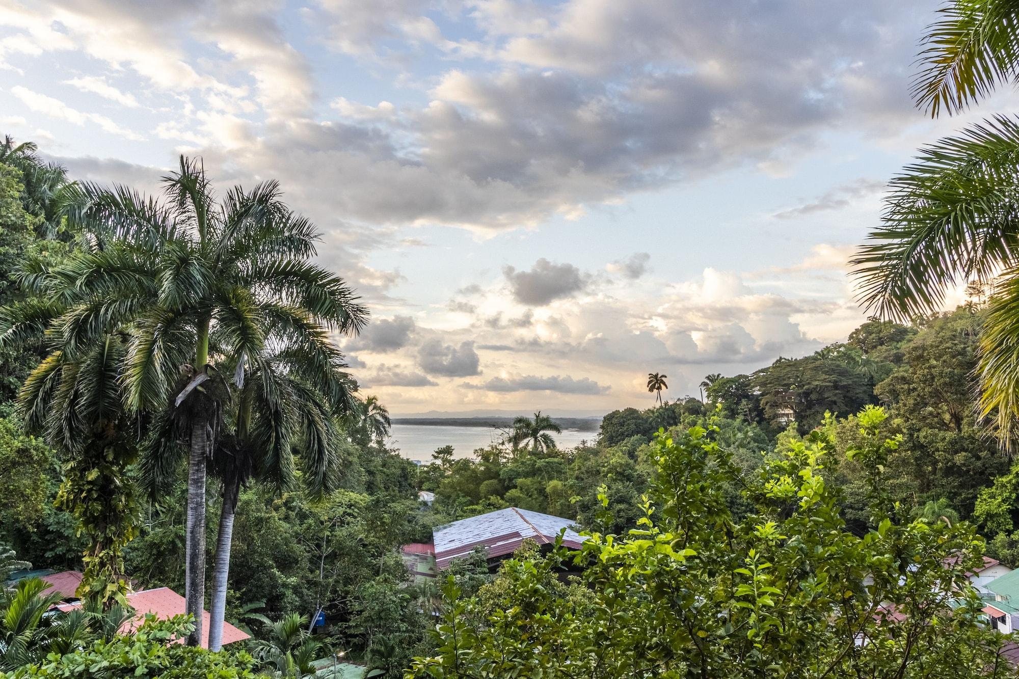 Playa Boutique Hotel Las Cascadas The Falls