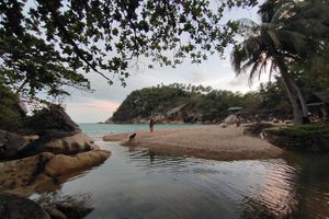 Alojamiento - Whynam Beach