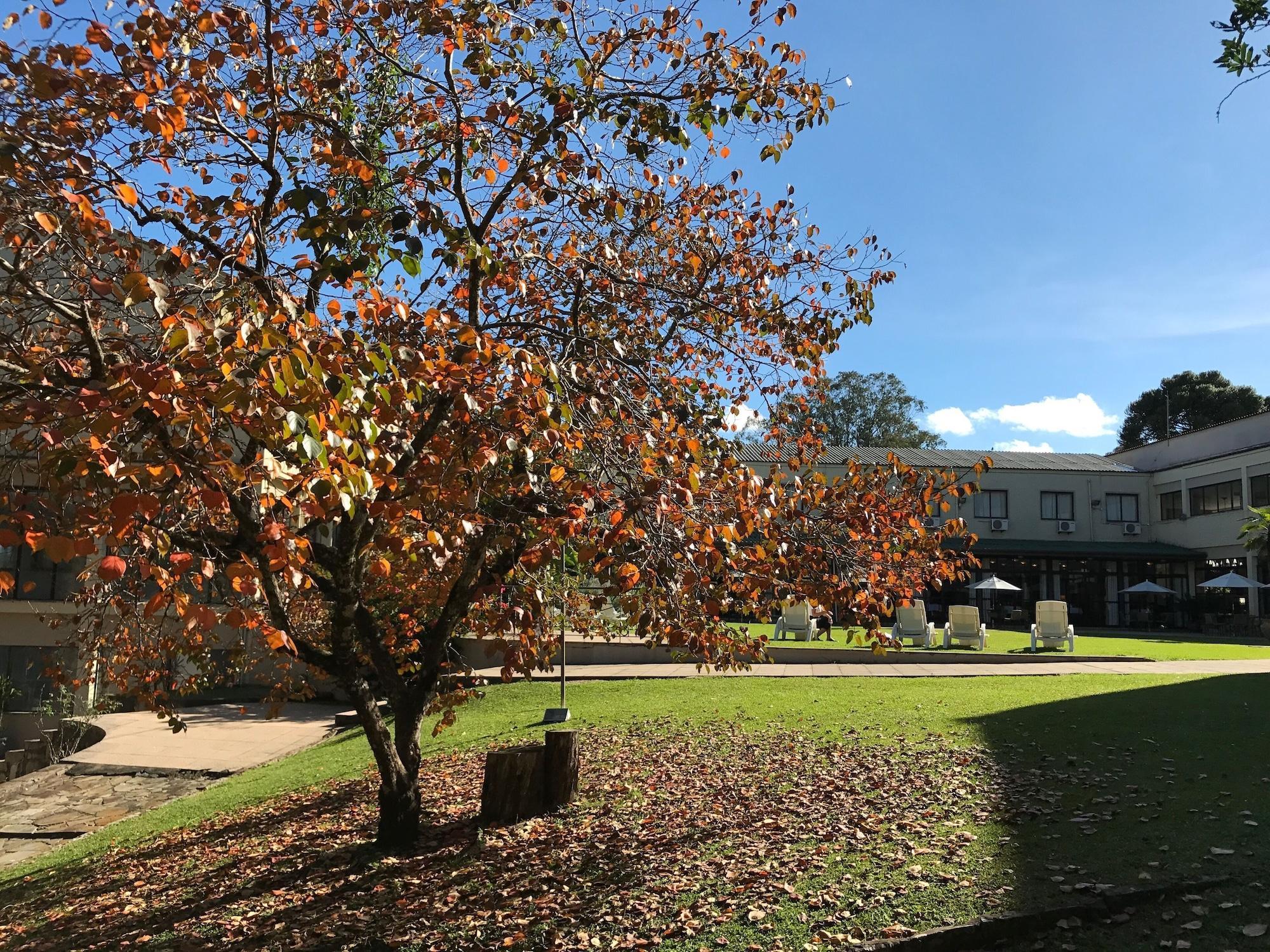 Vista Exterior Samuara Hotel