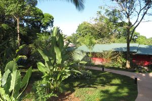 Alojamiento - OASIS de las Palmas