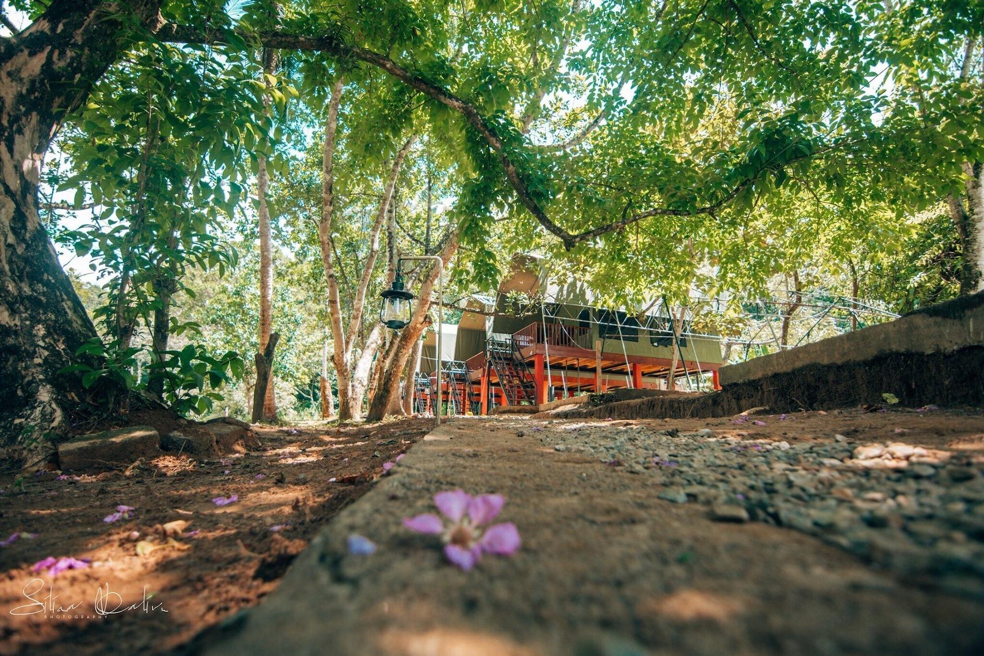 Vista Exterior 360 Rainforest