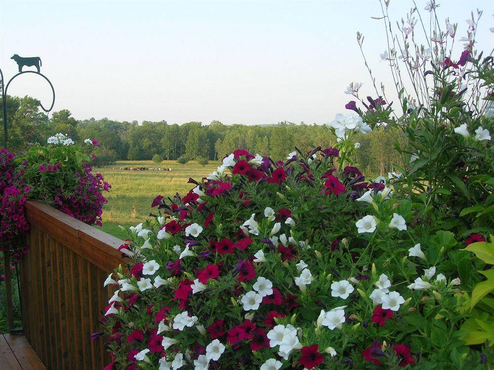 Vista Exterior Golden Pathways Retreat and B&B