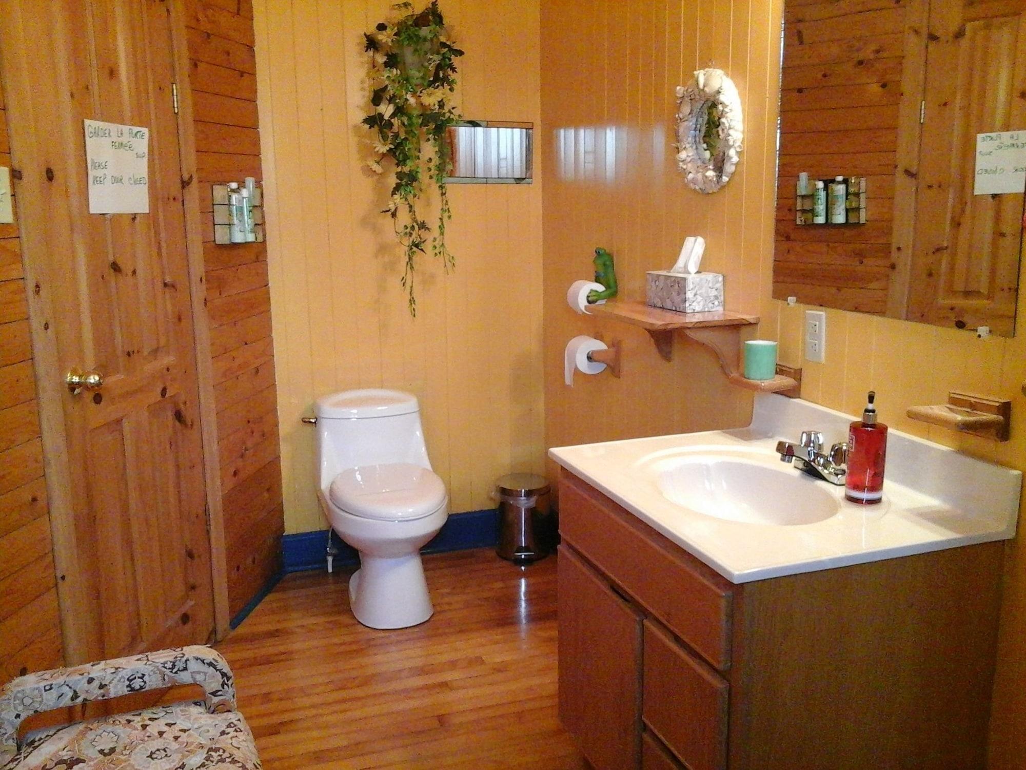 Equipamiento de Habitación Auberge du Saumonier Lodge