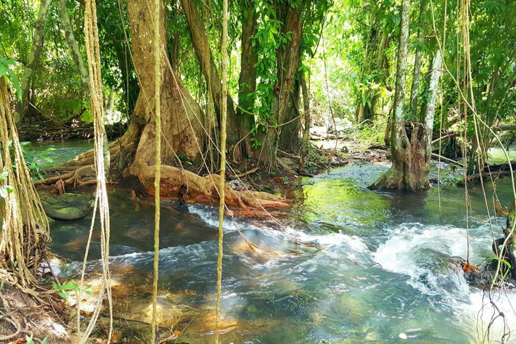 Vista Exterior Hug Rimtharn