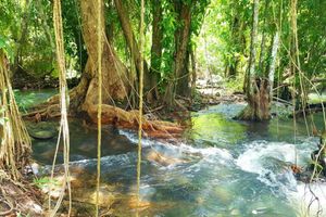 Alojamiento - Hug Rimtharn