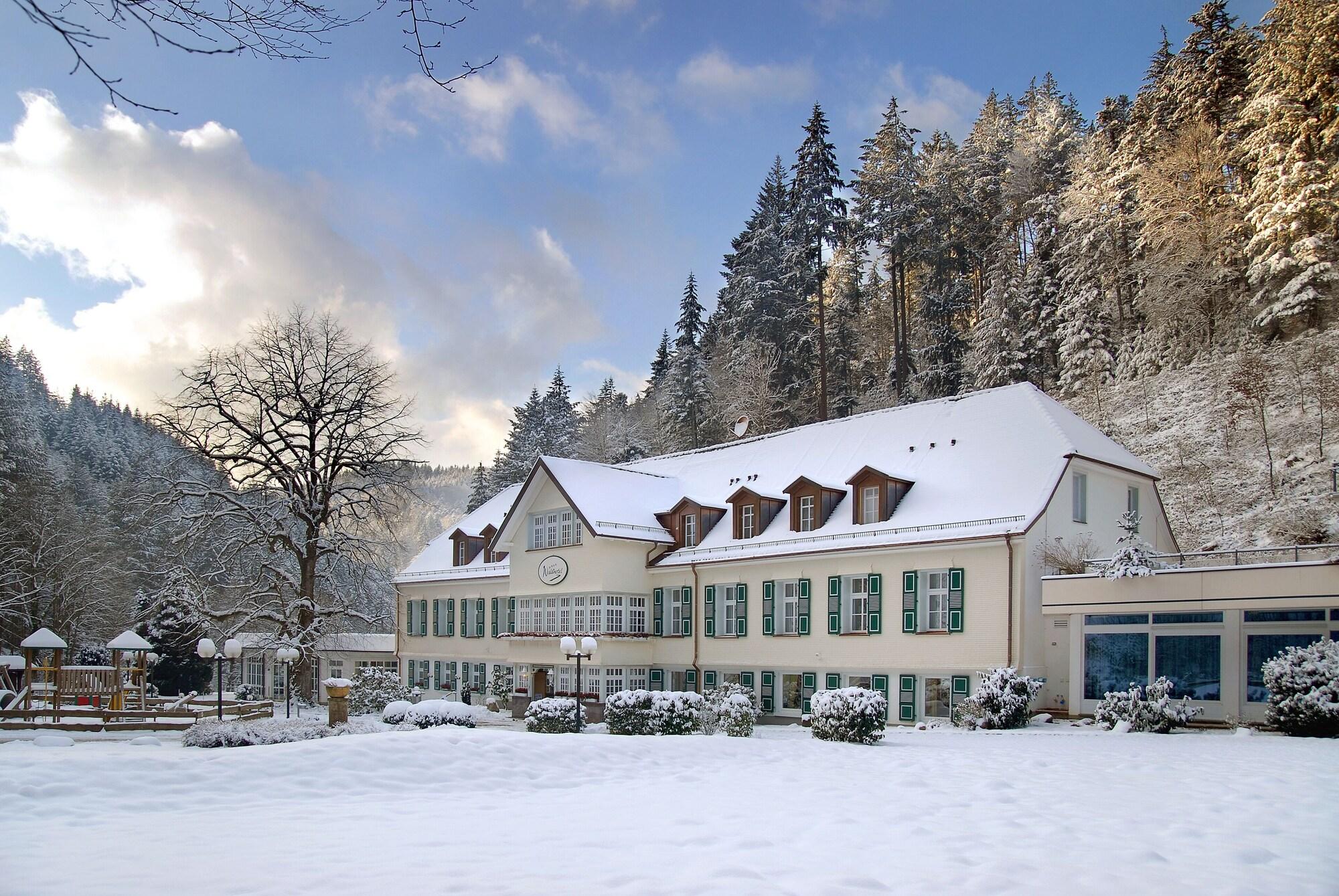 Vista Exterior Waldhotel Bad Sulzburg