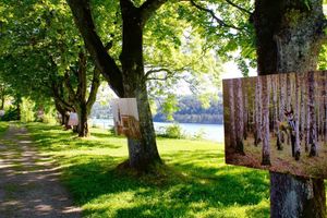 Alojamiento - Oscarsborg Castle Hotel & Resort