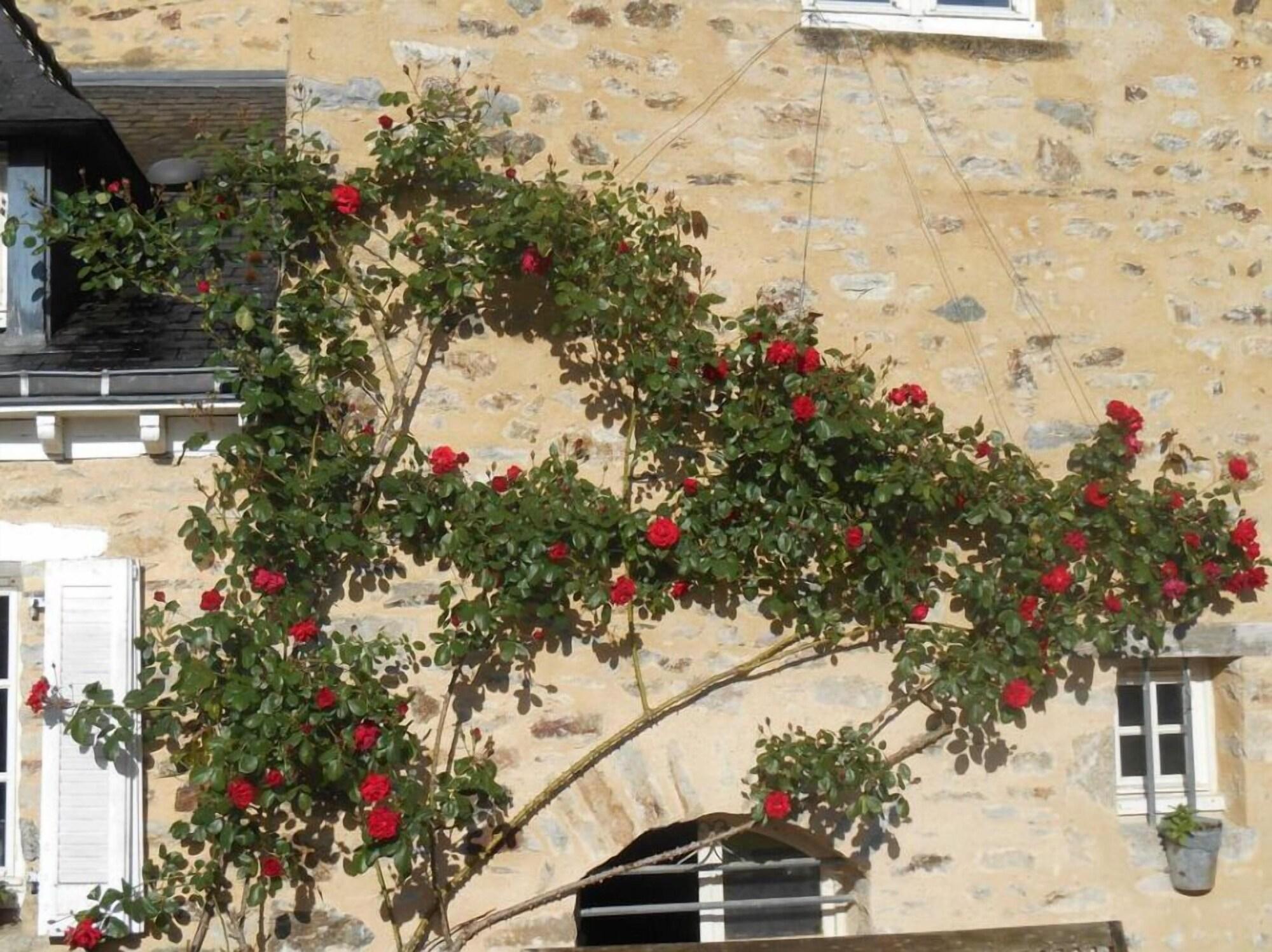 Varios Au Presbytère de Dagmar