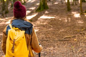 Actividad - Excursión a la Selva de Irati y Ochagavía