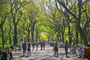 Alojamiento - The Gardens Sonesta ES Suites New York