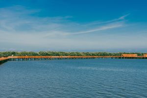 Actividad - Visita al Ecoparque Ciénaga de Mallorquín