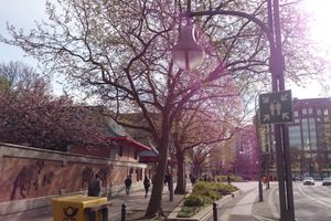 Alojamiento - Crowne Plaza Berlin City Centre by IHG